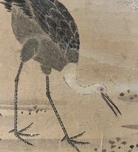【模写】狩野周益『鶴図』掛軸 紙本 鳥獣 日本画 古画 人が書いたもの_画像9