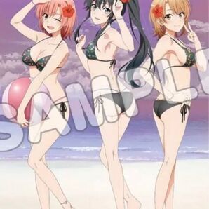 アニまるっ限定 やはり俺の青春ラブコメはまちがっている。 B2タペストリー ハイビスカスver.