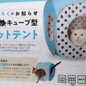 ねこのきもち 付録 にゃー キューブ型 キャットテント テント 猫の気持ち 猫 ねこ ネコ グッズ 非売品の画像1