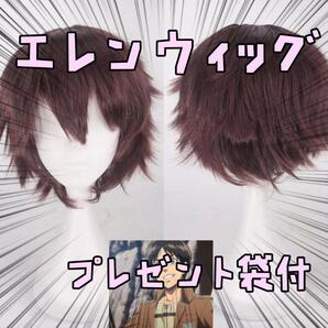 ウィッグ カツラ エレン コスプレ 進撃の巨人 耐熱 リボン袋付【残3のみ】