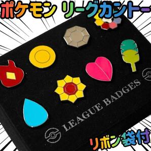 バッジ ジムリーダー ポケモンリーグ カントー 【布巾付・リボン袋付】