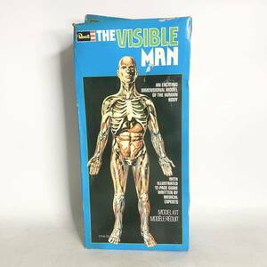 未組立　Revell　レベル　人体模型　The Visible Man　Model H-900 1977　アンティーク　ビンテージ