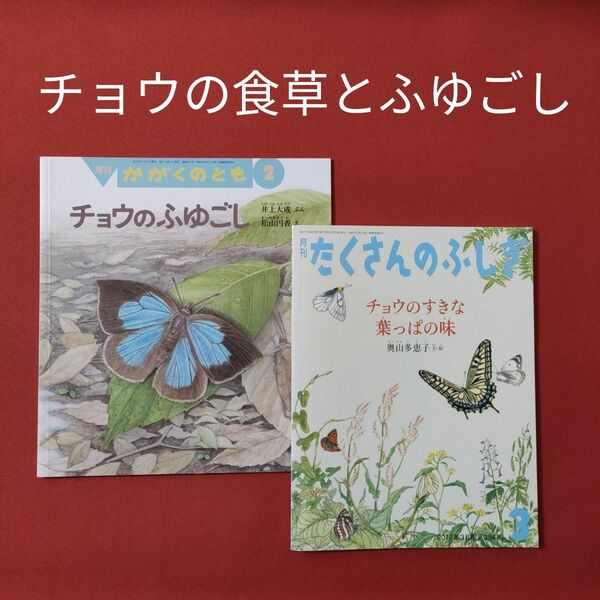 たくさんのふしぎ　かがくのとも　チョウの食草とふゆごし　チョウのすきな　福音館