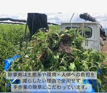 ＊無農薬お茶＊宇治抹茶×2個セット　化学肥料・除草剤・畜産堆肥不使用_画像7