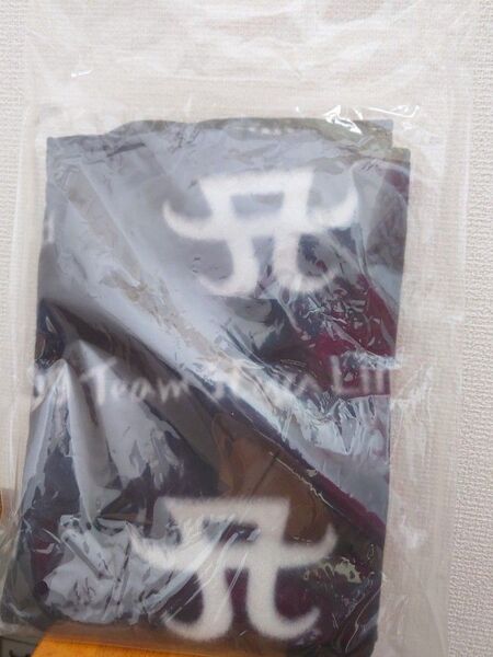 新品未開封 ブランケット グッズ 浜崎あゆみ TeamAyu