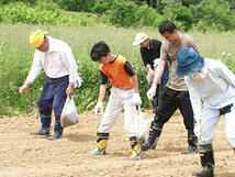 玄蕎麦（そばの種）900g(北海道産)玄そば　自宅でスプラウトが出来る【メール便対応】※新蕎麦_画像7