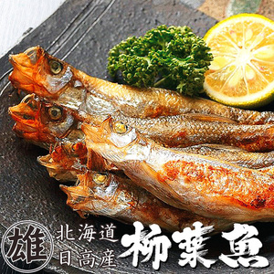 book@.... male 30 tail ( Hokkaido production book@. leaf fish ) fat . paste .. .... male shishamo smelt Hokkaido. book@ shishamo smelt seafood gift . middle origin .. -years old . and so on 
