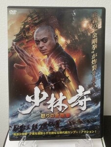 9-1　少林寺 怒りの金剛拳（中国映画）MPF-13931 レンタル落ち 中古 DVD　