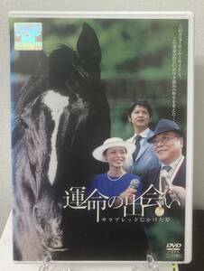 10-2　運命の出会い サラブレッドかけた夢（邦画）PCBE-71296 レンタルアップ 中古 DVD　中尾彬 廃盤希少品