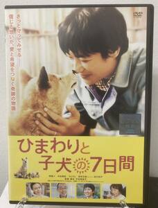 10-2　ひまわりと子犬の7日間（邦画）DB-9688 レンタルアップ 中古 DVD