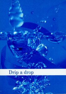 SilverDrops/Silver Drops(あや/『Drip a drop』/NARUTO(ナルト)同人誌 カカナル(はたけカカシ×うずまきナルト)2011年発行 小説 168ページ