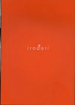 irodori(たつき『こないだの仕事 キャラ』/けものフレンズ監督の同人誌 フルカラーイラスト集/2017年発行 20ページ_画像2