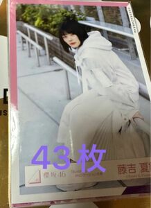 櫻坂46 欅坂46 生写真 まとめ売り 43枚 最終値下げ