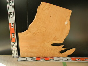 3092664 杉 60cm×61.5cm×1.5cm☆無垢板１枚板 木材 板 DIY 板材 天板 棚板 テーブル 看板 花台など種類豊富！