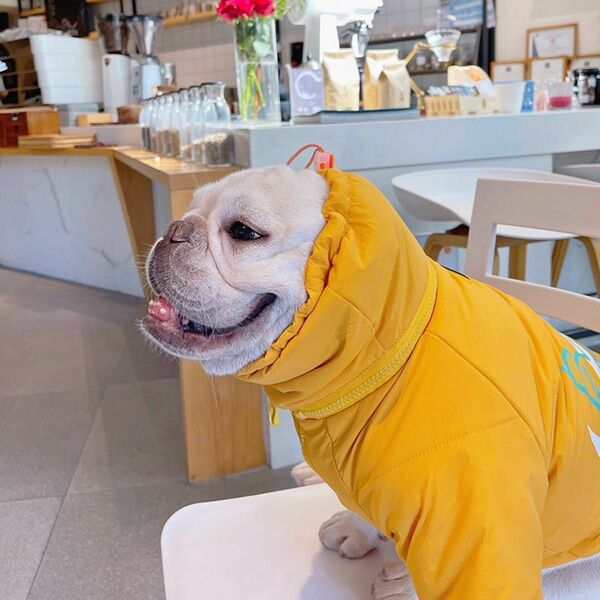 2023年秋冬新商品　犬服　フレブル服　黄色　防寒グッズ ネックウォーマー 　　もこもこ　暖かい　 かわいい オシャレ