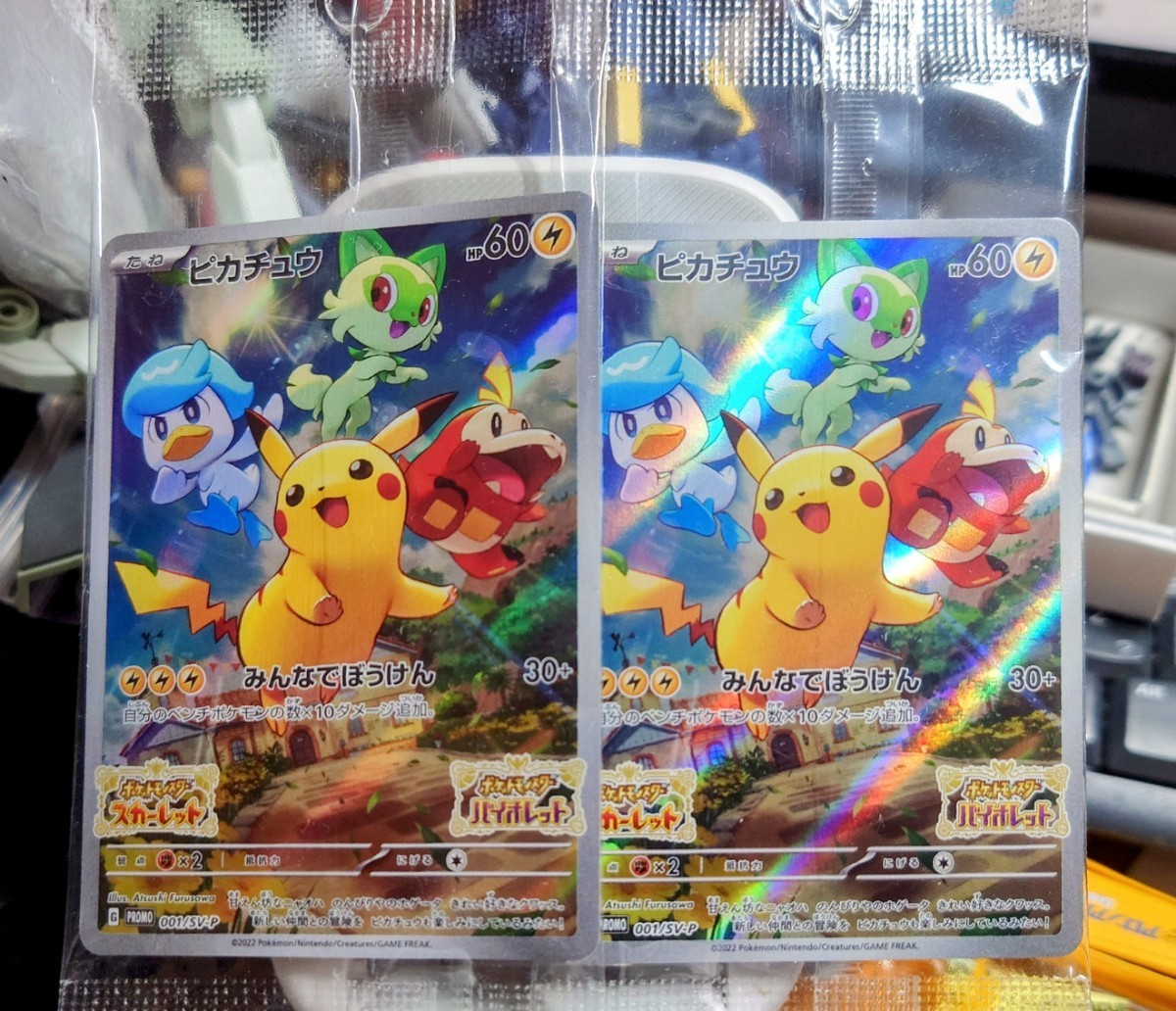 ポケモンカードゲーム ポケカ トレーナーカードコレクション マリィの