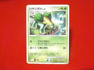 ポケットモンスターポケモンPokemon　Trading Card　明治　MEIJI　カードトレカ　ハヤシガメ　034/DP-P　PROMO