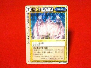 モンスターコレクション　モンコレ　monster Collection　Trading Card　キラカードトレカ　禁樹竜ラードーン　MC4-023