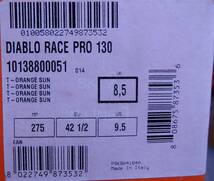 TECNICA　-DIABLO RACE PRO 130-_画像9