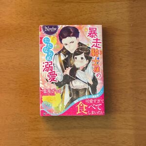 暴走騎士様のただならぬ溺愛 （ノーチェ文庫） 雪兎ざっく／〔著〕