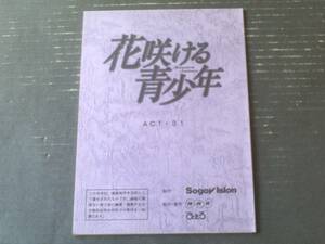 当時物【花咲ける青少年/第３１話「交わらぬ理念」シナリオ台本】ＮＨＫ・ぴえろ/平成２２年