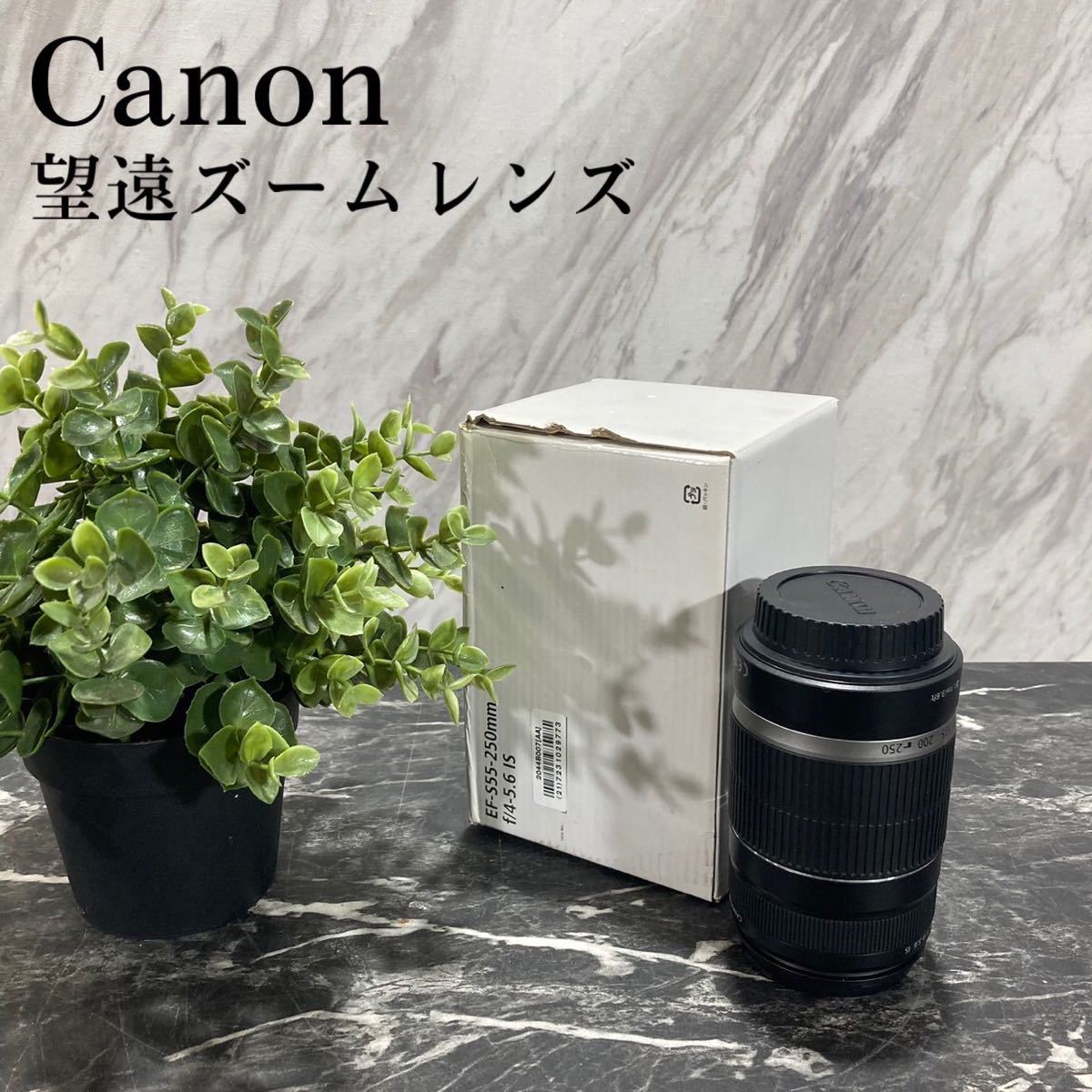 Canon 望遠ズームレンズ EF-S55-250mm f/4-5.6 L191-