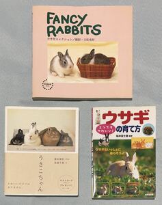☆うさぎ 写真集「うさこちゃん」「FANCY RABBITS」飼育本「ウサギの育て方」