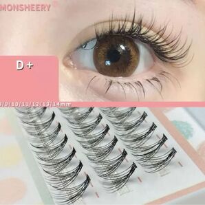 マツエク Dカール 2箱