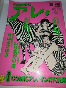 【古雑誌】コミックアレ！ 創刊号 高野文子上田トシコお初ちゃん竹宮惠子片山まさゆき吾妻ひでお表紙江口寿史 裏表紙BOSS矢沢永吉1994年