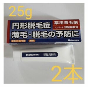 ハツモール 頭髪用軟膏 強力ベハールングS 25g【田村治照堂】2本