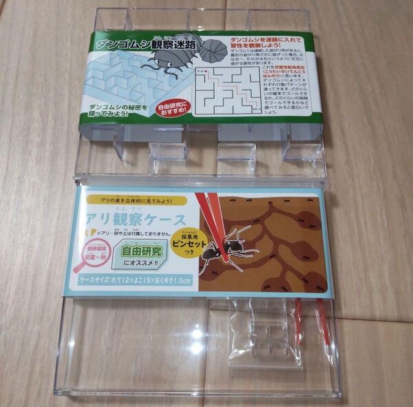 アリ観察ケース ダンゴムシ観察迷路 昆虫 夏休 自由研究 理科 生物 知育玩具 だんごむし 自然 キャンプ こども 幼稚園 保育園