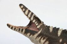 Nanmu 本心楠改 モササウルス Lord of Abyss 2.0 65cm級 大海洋恐竜 フィギュア模型 プラモデル 大人 おもちゃプレゼント (リヴィアタン)_画像4