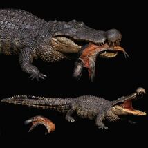 REBOR 1/35 サイズ デイノスクス ワニ 獣脚類 恐竜 動物 フィギュア 模型 プラモデル 大人 おもちゃ オブジェ 置物 プレゼント 2点 灰_画像1