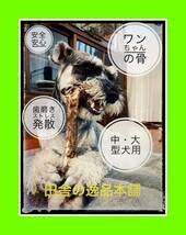 ★お買い得★ 中型犬〜大型犬におすすめ アウトレット 鹿or猪の骨 1kg 以上_画像2