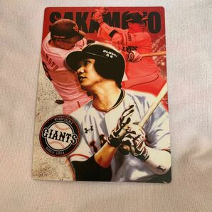 坂本勇人 下敷き ジャイアンツ 巨人