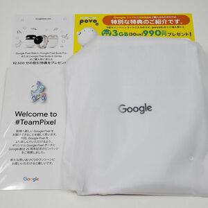 Google Pixel ポーチ 巾着 ピンズ povo Google Store 2500円特典コード