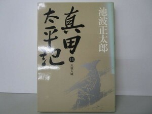 真田太平記 (14)大坂入城 m0510-fa1-nn244138