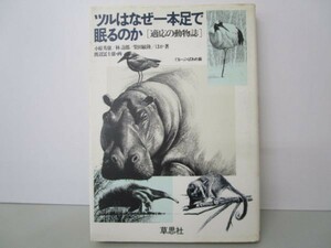 ツルはなぜ1本足で眠るのか―適応の動物誌 m0510-fc1-nn246407