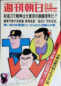 週刊朝日　1973年6月8日増大号　杉並ゴミ戦争　朝日新聞社　 YB231024M1