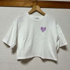 PAGEBOY クロップド丈半袖Tシャツ