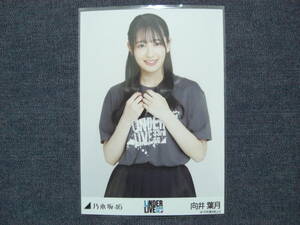 ★乃木坂46★向井葉月 33rdSG アンダーライブTシャツ 33rd アンダラ 2023 生写真 1枚/中間★