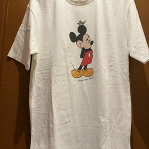 定価6000円　インセクトコレクション　ディズニーコラボ ミッキーマウス Tシャツ Disney