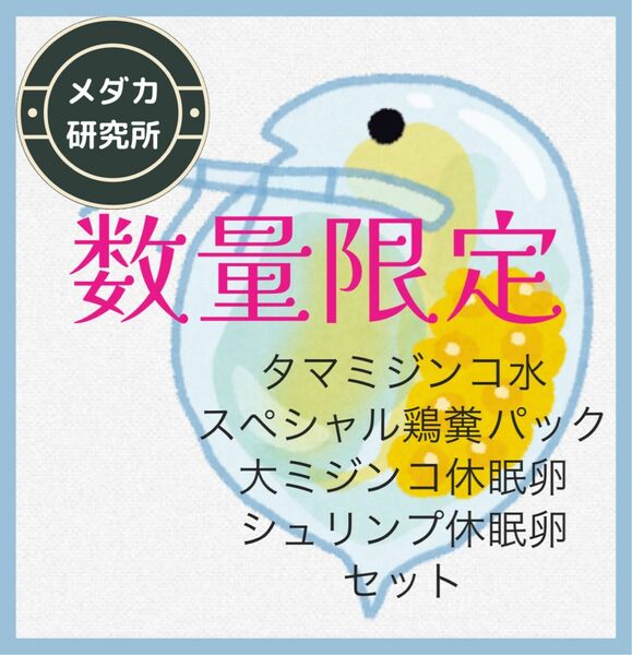 タマミジンコ水、ミジンコ休眠卵、ブラインシュリンプ休眠卵、鶏糞5パックセットになります。