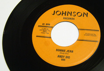 45rpm/ YOU ARE MY SUNSHINE - ANDY DIO - BONNIE JEAN / 50's,ロカビリー,FIFTIES,JOHNSON RECORDS_画像3