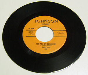 45rpm/ YOU ARE MY SUNSHINE - ANDY DIO - BONNIE JEAN / 50's,ロカビリー,FIFTIES,JOHNSON RECORDS