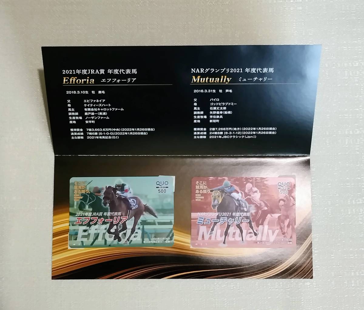 2023年最新】ヤフオク! -地方競馬(スポーツ、レジャー)の中古品・新品