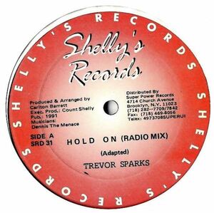 Trevor Sparks - Hold On G398