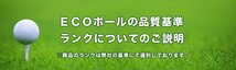 ロストボール タイトリスト PRO V1 2021年 ホワイト 10個 Bランク 中古 ゴルフボール ロスト Titleist エコボール_画像4