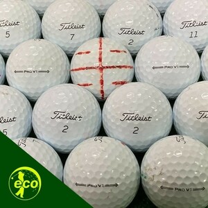 ロストボール タイトリスト PRO V1 2021年 ホワイト 10個 Bランク 中古 ゴルフボール ロスト Titleist エコボール