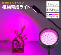 植物育成ライト USB-Type LED 24個 LED 12W ３色点灯 ブルー レッド ピンク 植物 育つ ライト 植物育成 観葉植物 多肉植物 水耕栽培_画像2